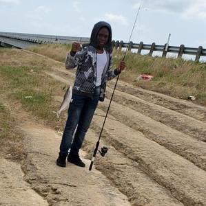 Meet your Posher, Bernard